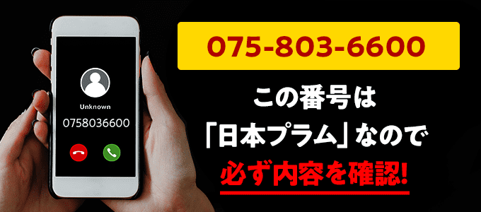 0758036600は日本プラム